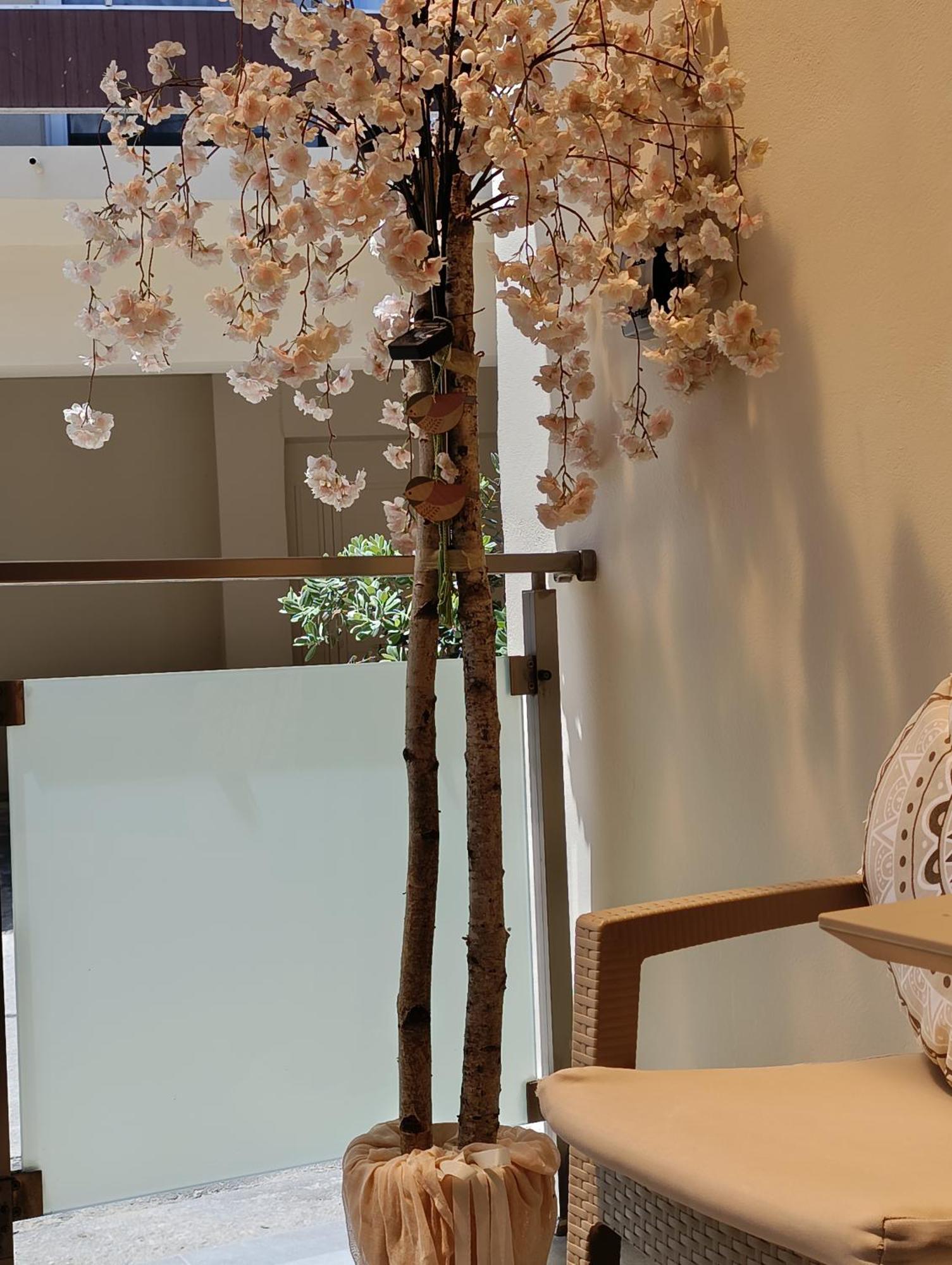 Apolafsi Apartments 2 New With Kitchen خانيا المظهر الخارجي الصورة